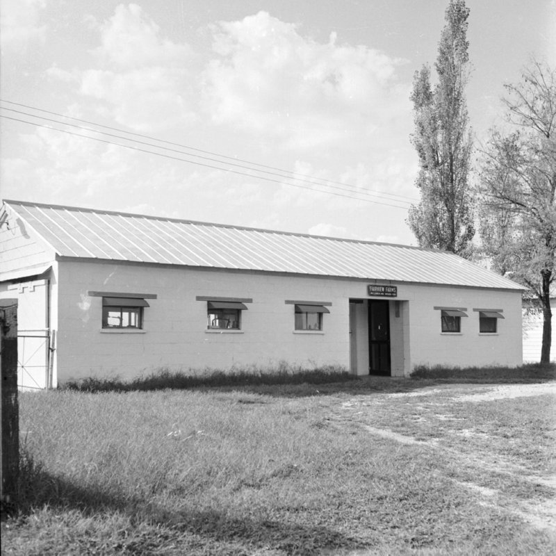 120_milk houses, like this one at Fairview Farms,... (1951).jpg